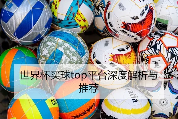 世界杯买球top平台深度解析与推荐