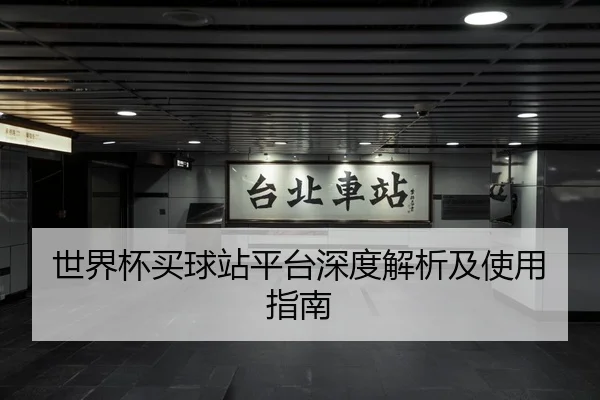 世界杯买球站平台深度解析及使用指南