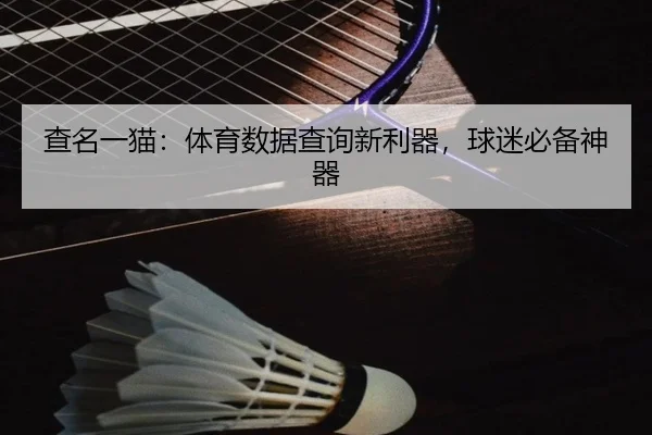 查名一猫：体育数据查询新利器，球迷必备神器